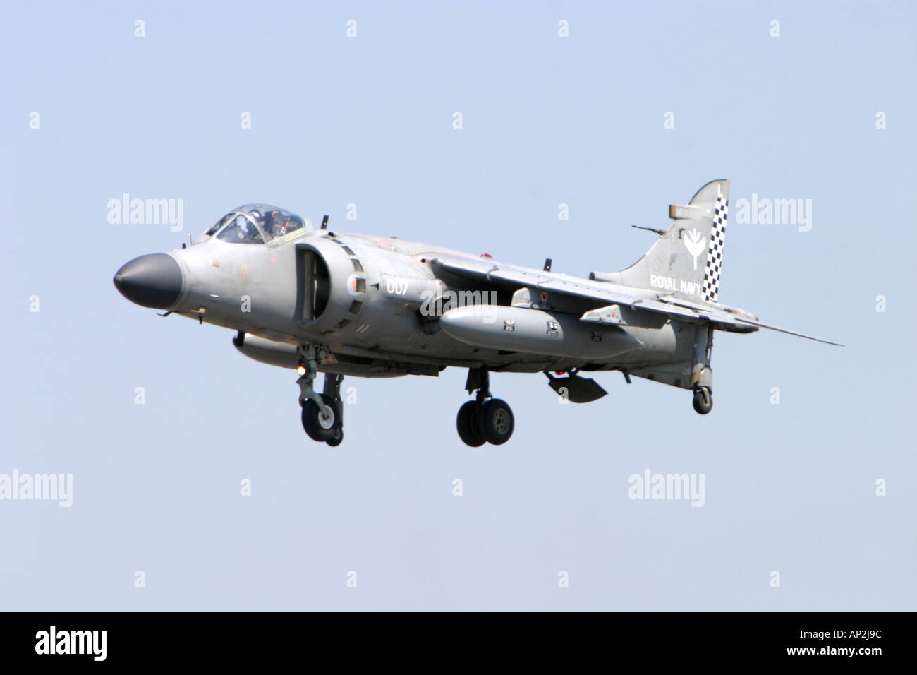 Sea Harrier de la marine dans l'affichage de la formation de vol Banque D'Images