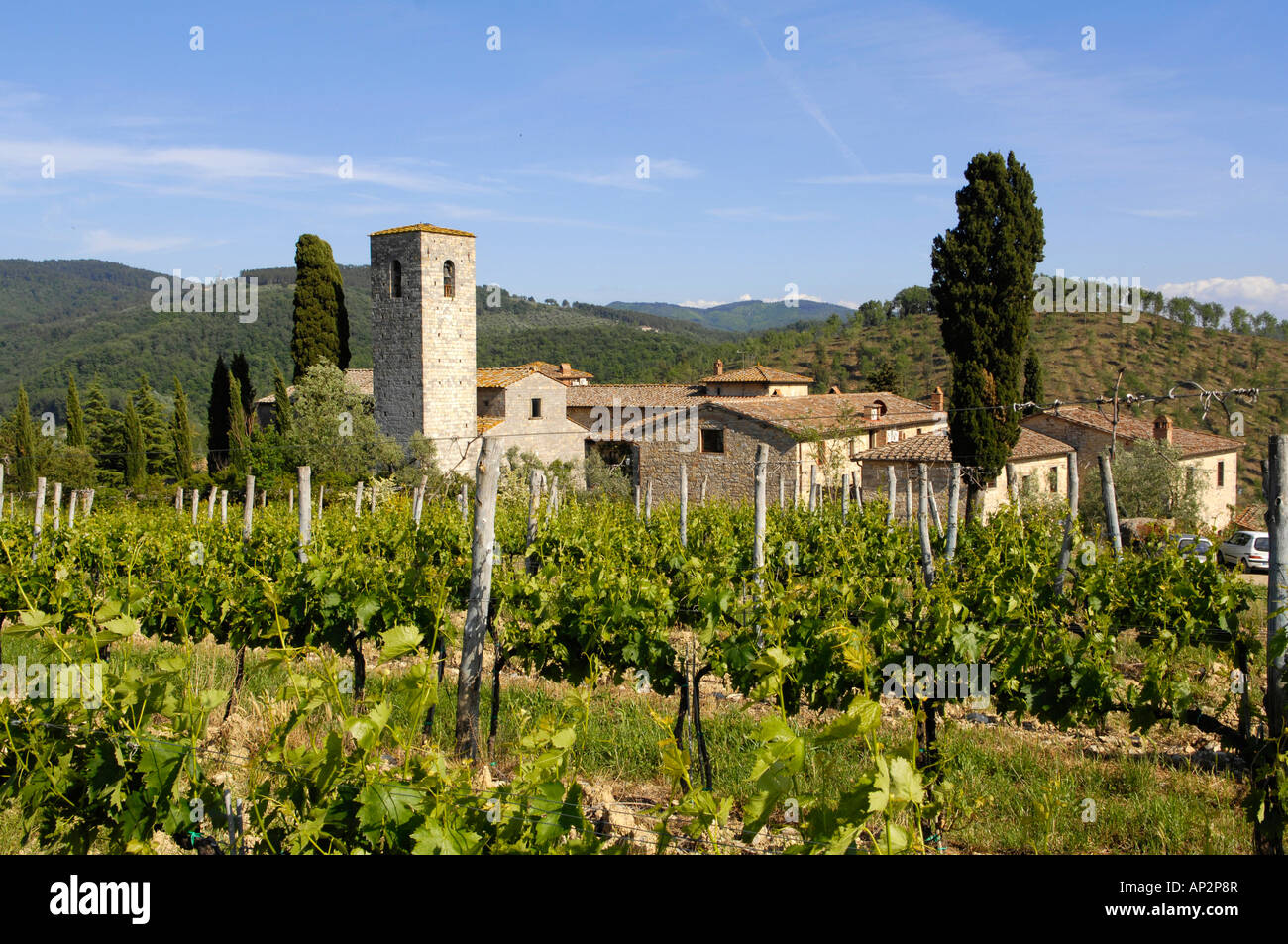 Vignoble en face de Castello Spaltenna, Toscane, Italie Banque D'Images