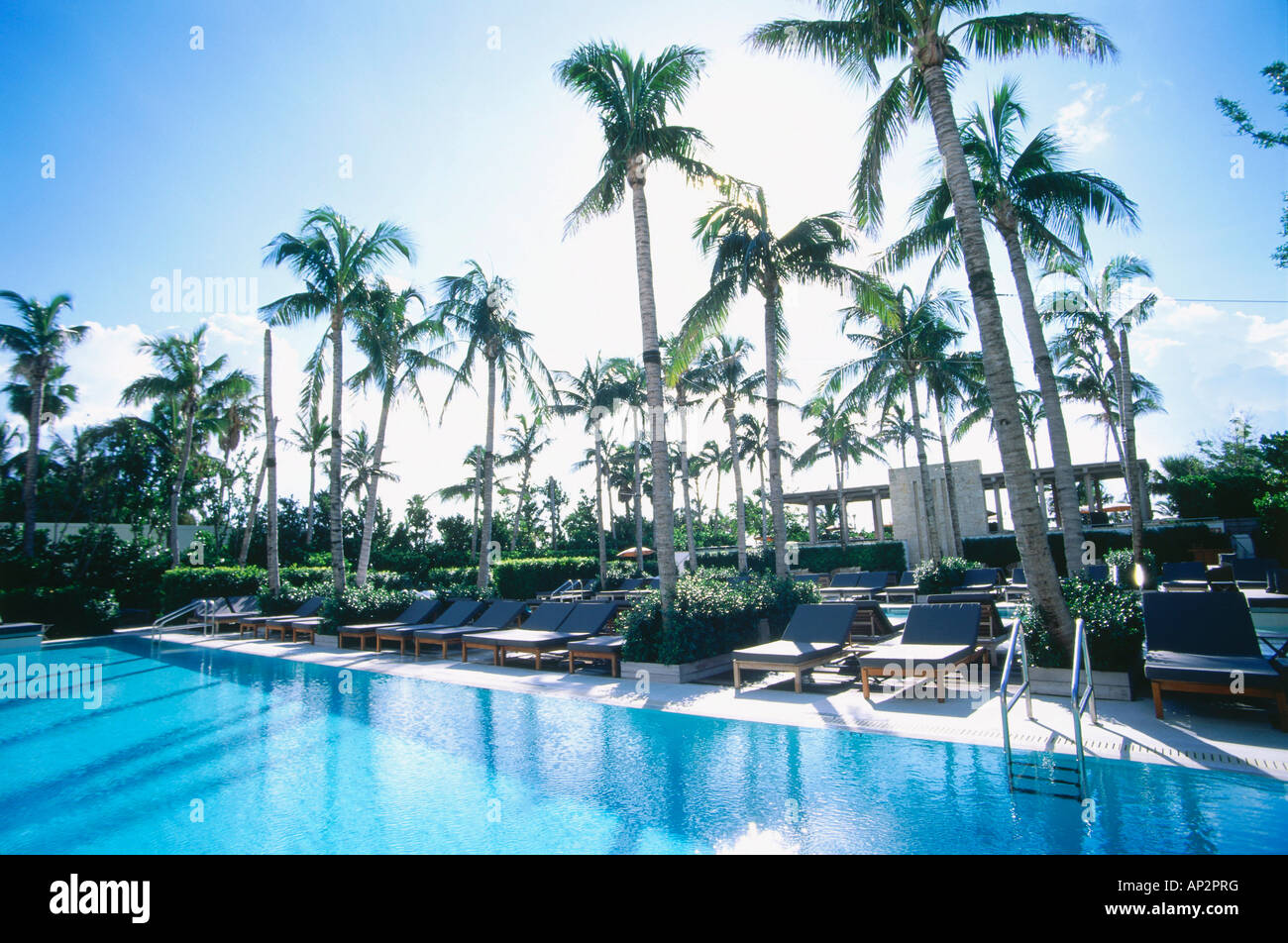 Piscine, Spa, l'hôtel The Setai, South Beach, Miami, Floride, USA Banque D'Images Piscine, Spa, l'hôtel The Setai, South Beach, Miami, Floride, USA Banque D'Images