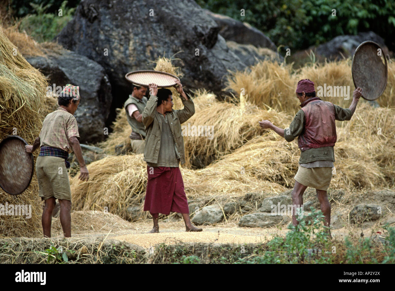 Les villageois GURUNG distribués leur récolte à sécher dans la vallée de la rivière DORDI BODHA HIMAL NÉPAL Banque D'Images