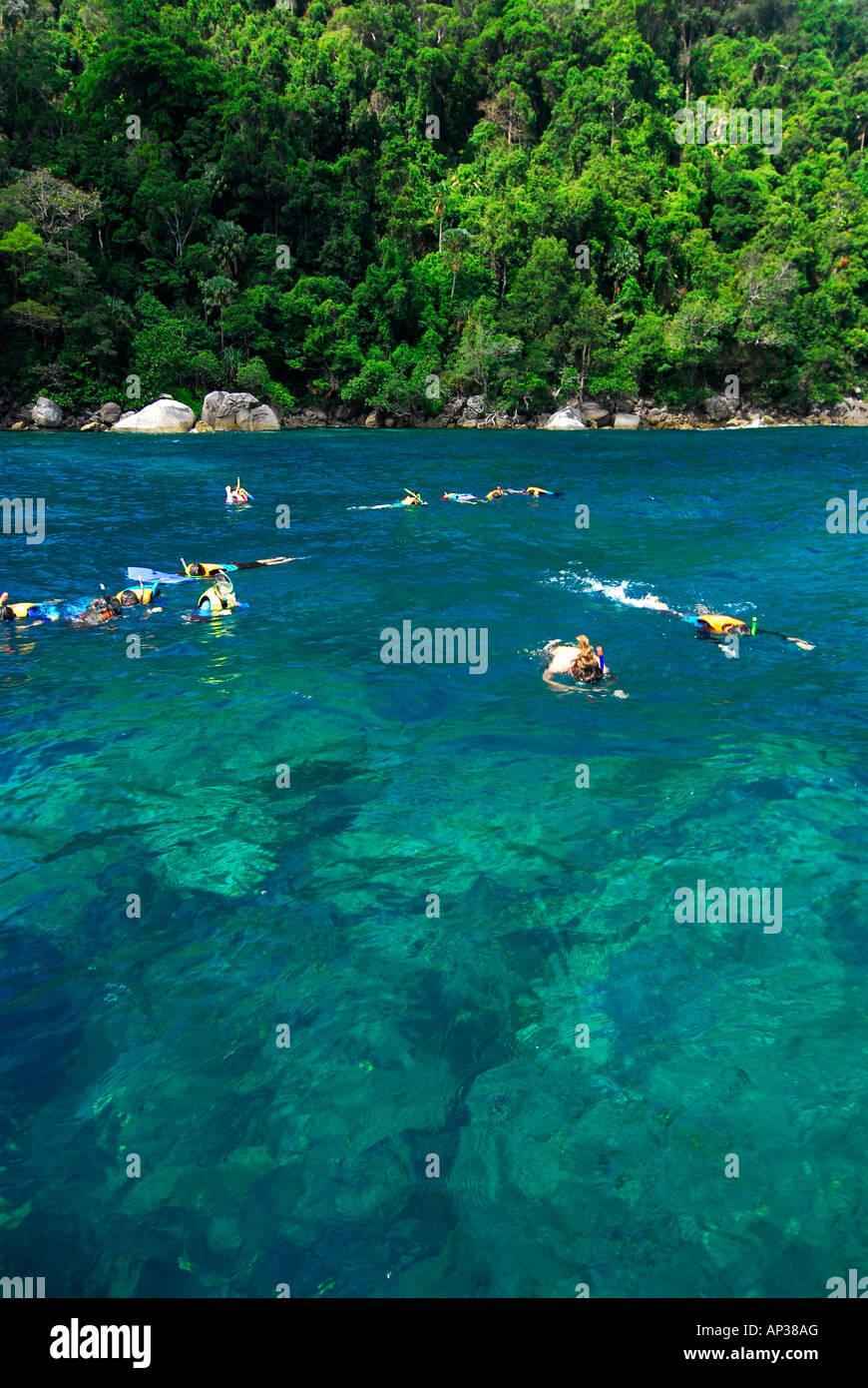 Les gens de la plongée libre dans l'eau claire au large de Ko Surin Noi, Surin Marine National Park, Ko Surin, Thaïlande, Phang Nga Banque D'Images