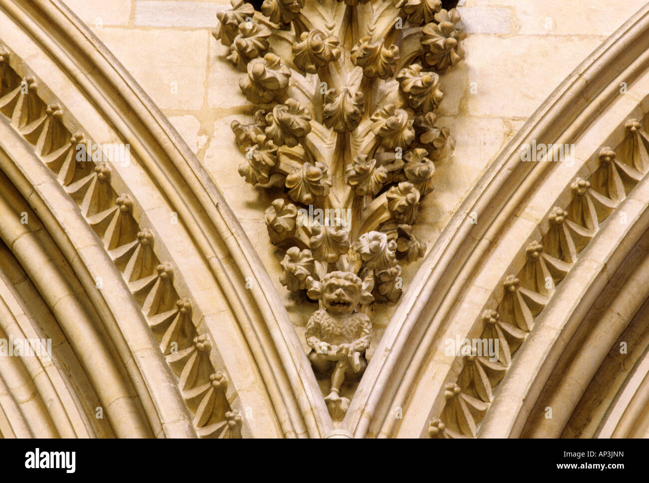 La Cathédrale de Lincoln Wood Sculpture sur pierre Lincolnshire Angleterre médiévale UK créature mythique mythe français de l'intérieur des cathédrales Banque D'Images