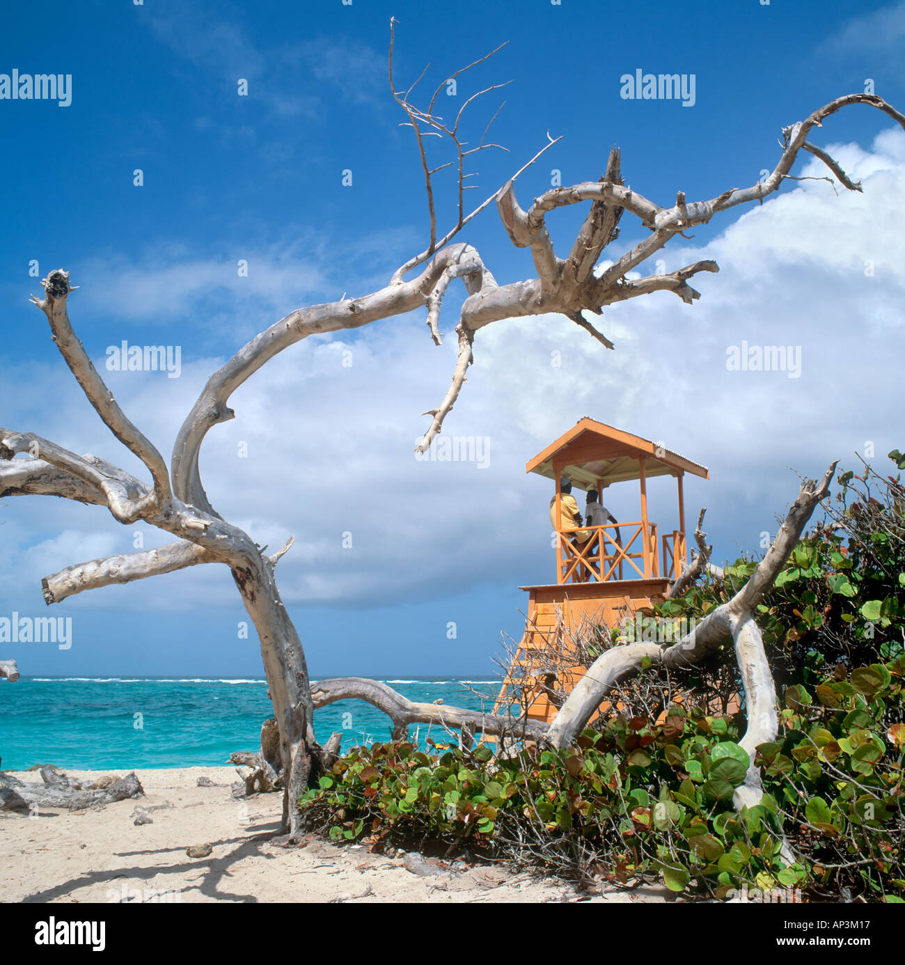 Lifeguard Hut, Côte Sud, Barbade, Antilles, Caraïbes Banque D'Images