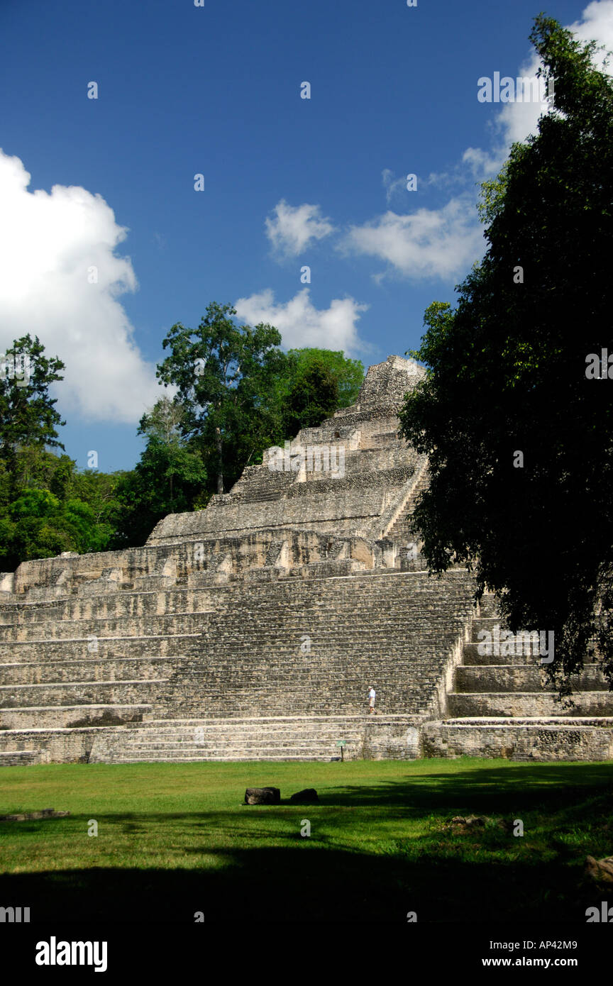 L'Amérique centrale, le Belize, la réserve forestière Chiquibul, Caracol. Ruines de la civilisation maya de la période classique. Banque D'Images
