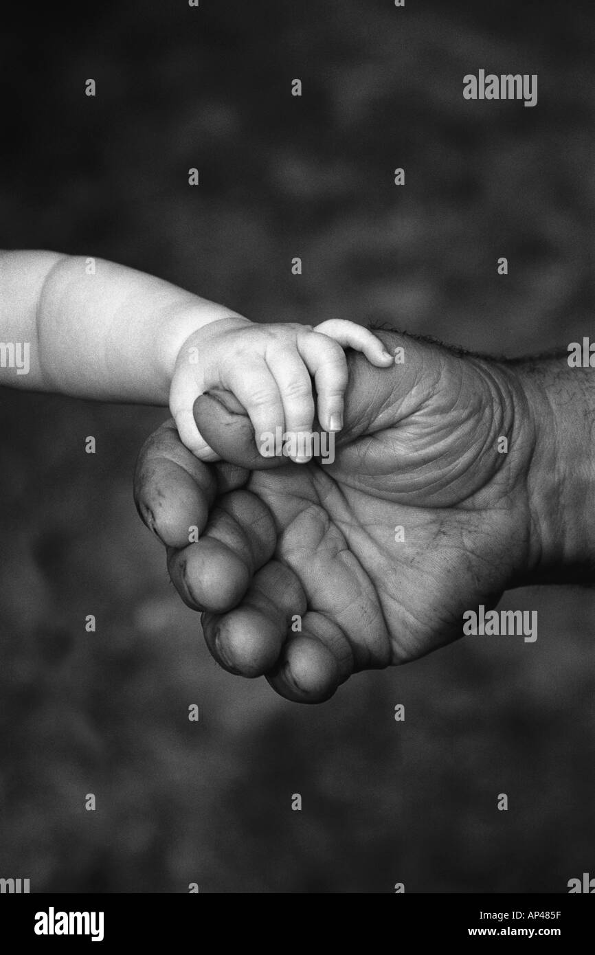 Baby's hand Holding on to Hot Hand Banque D'Images