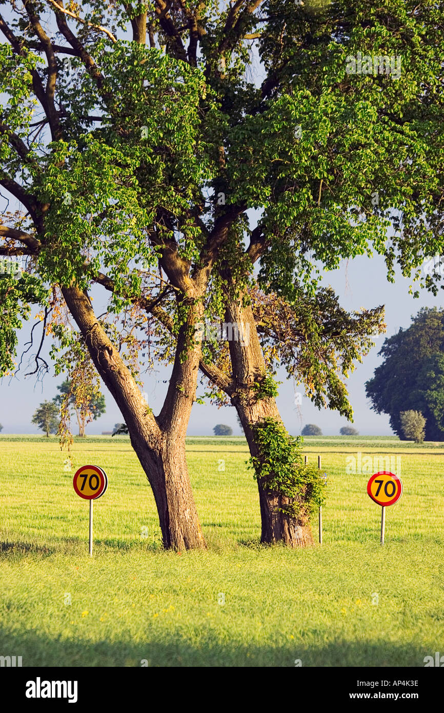 Deux arbres avec deux panneaux Banque D'Images