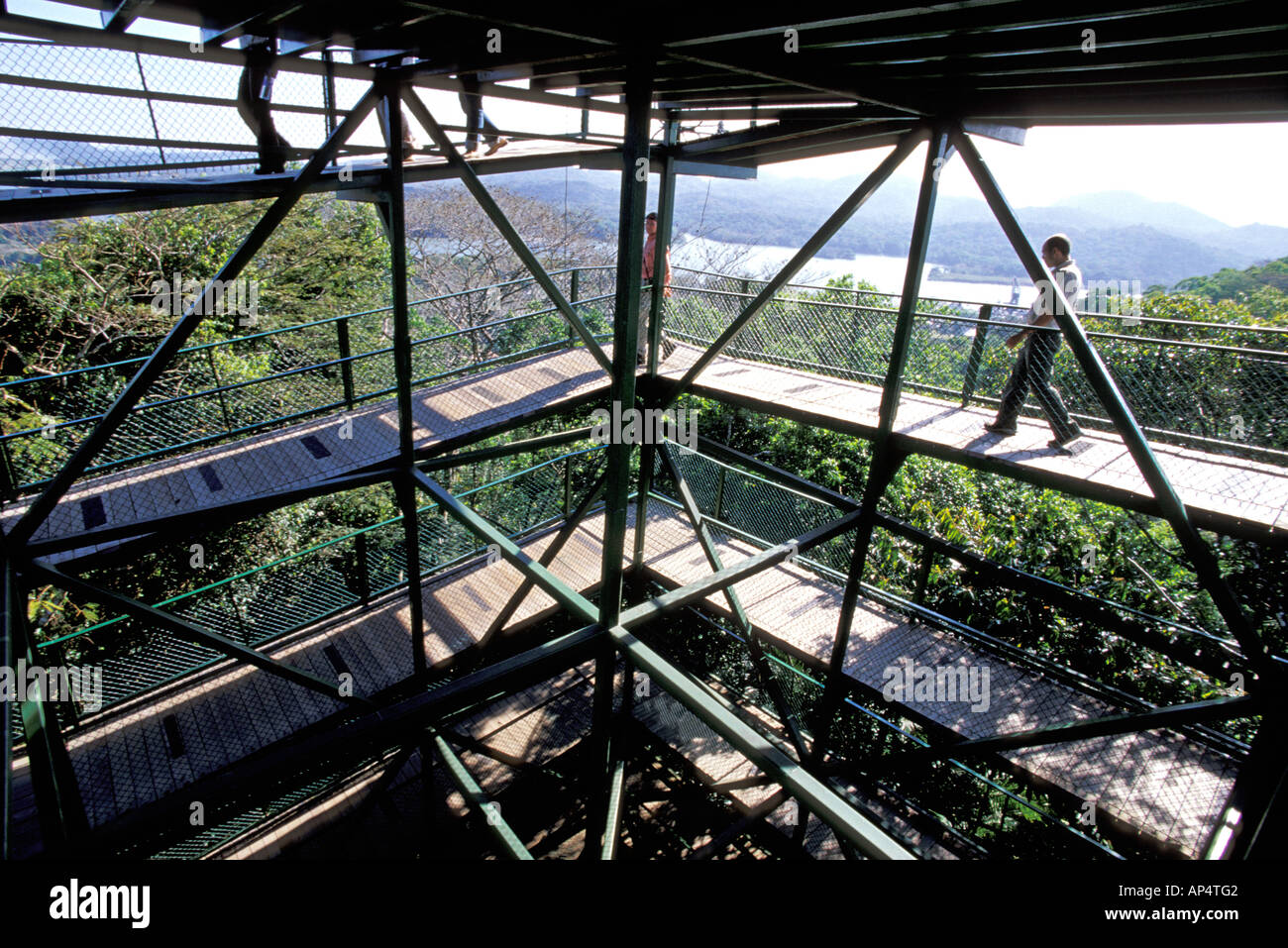 L'Amérique centrale, Panama, Parc National de Soberania, Gamboa Rainforest Resort. Tour d'observation de la forêt tropicale, les étapes de la tour Banque D'Images