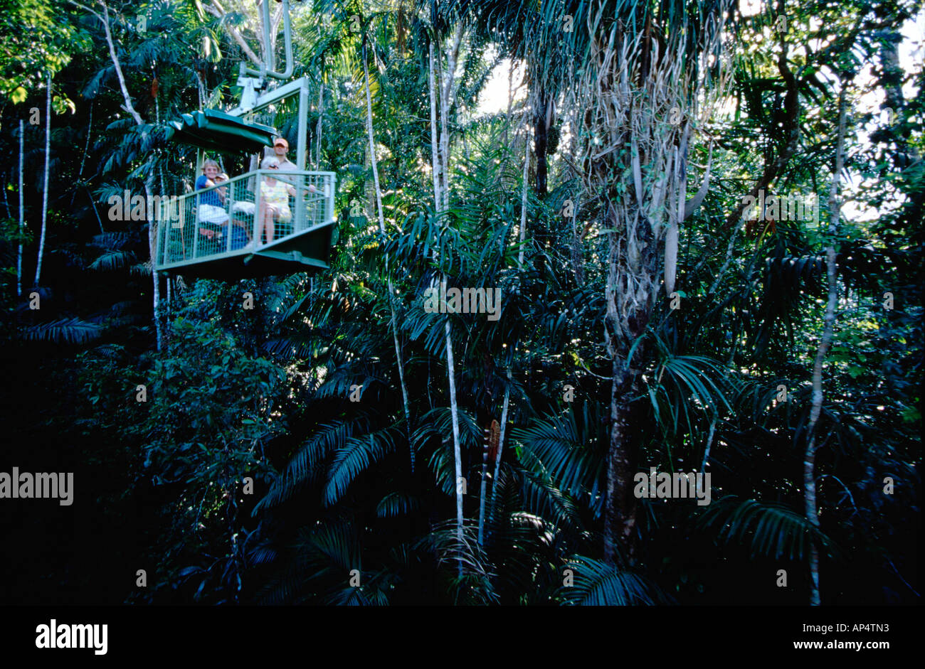 L'Amérique centrale, Panama, Parc National de Soberania, Gamboa Rainforest Resort. Banque D'Images