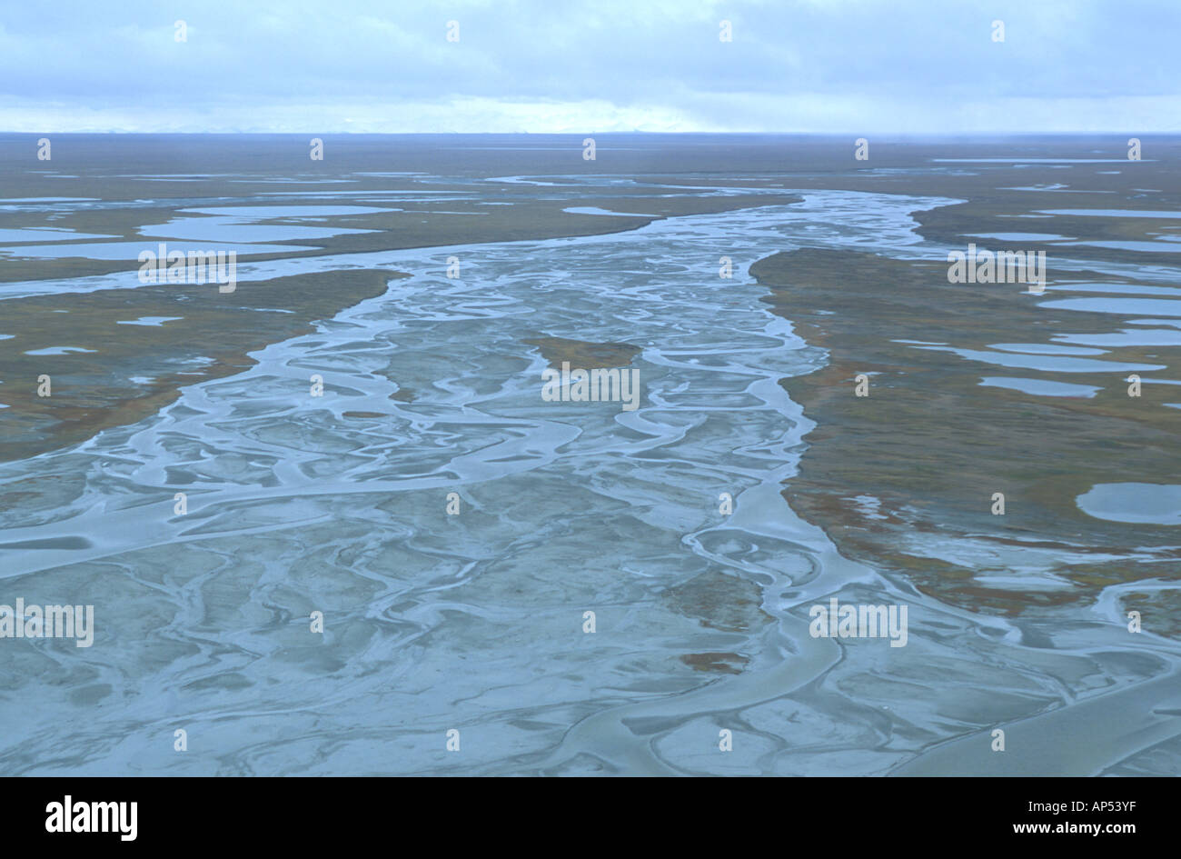 Amérique du Nord, USA, Alaska, Arctic National Wildlife Refuge Banque D'Images