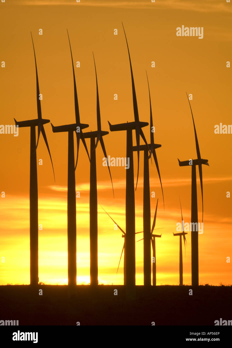 Éoliennes sur le Texas d'éoliennes au coucher du soleil. Banque D'Images