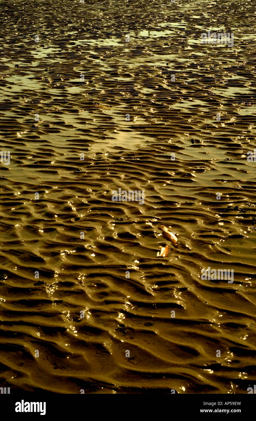 Ondulations dans le sable sur la plage de Sandymount, Dublin, Irlande. Banque D'Images