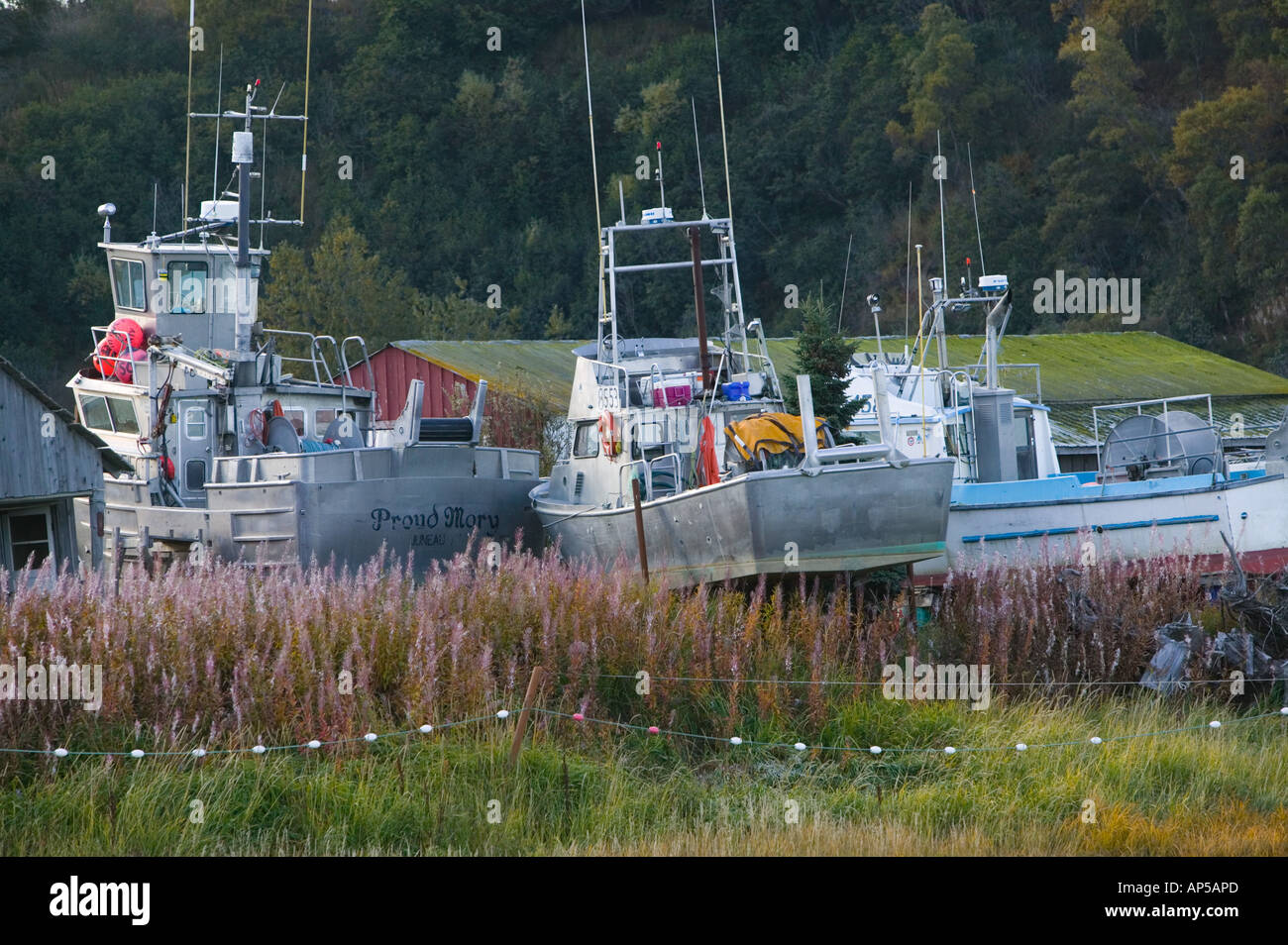 USA, Alaska, péninsule de Kenai, NINILCHIK : Bateaux de pêche sur la terre Banque D'Images