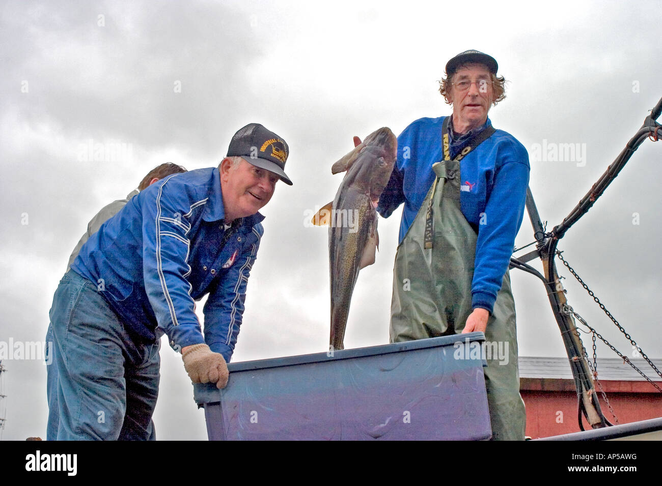 Des pêcheurs locaux et des prises de morue fraîche Cox Cove Bay of Islands Terre-Neuve Banque D'Images