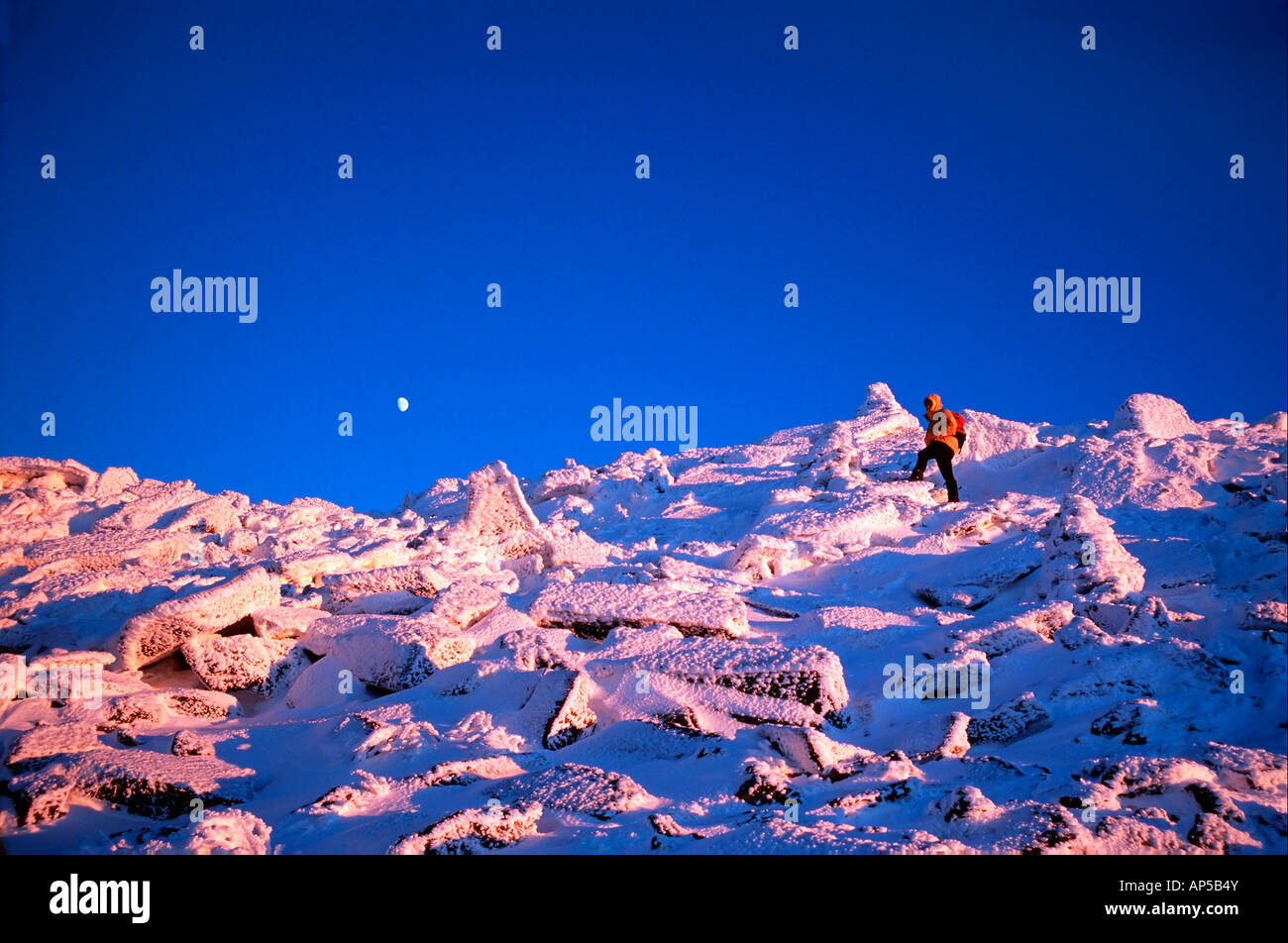 Grimpeur d'hiver dans un paysage de haute altitude près du sommet du Mont Adams, New Hampshire Banque D'Images