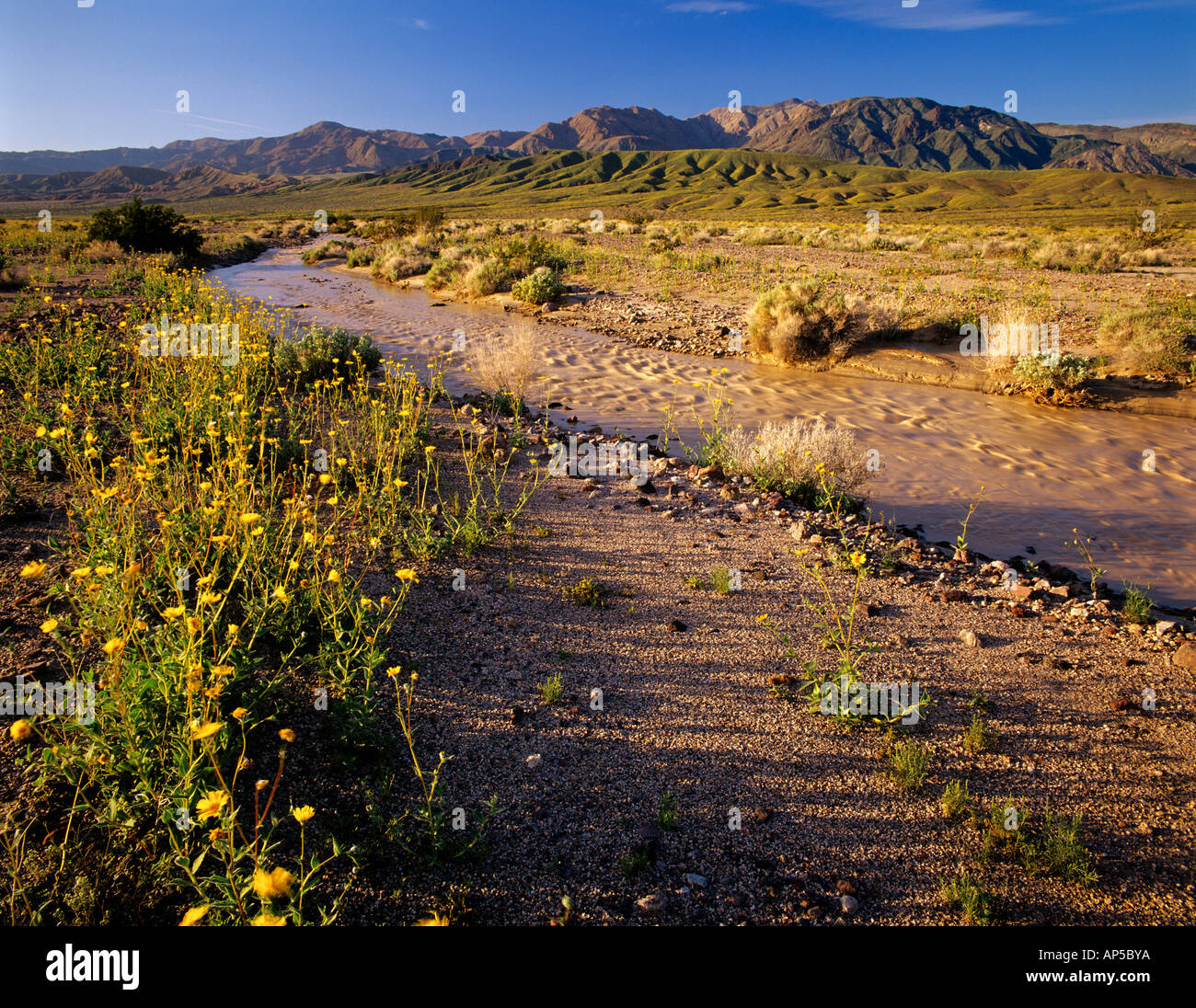 Amargosa River et Owlshead Gamme dans Death Valley National Park en Californie Banque D'Images