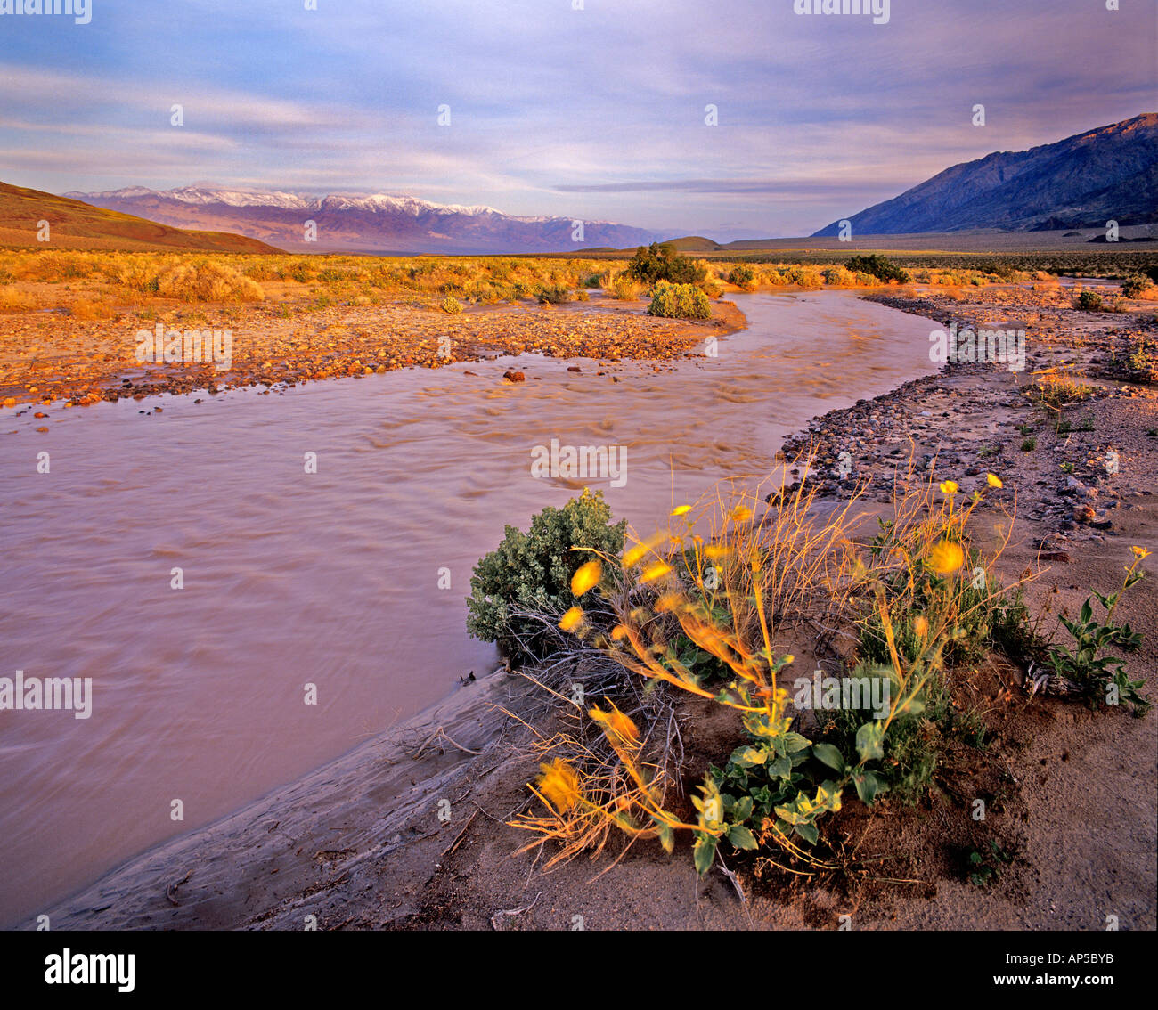 Amargosa River et gamme Pantamint dans Death Valley National Park en Californie Banque D'Images
