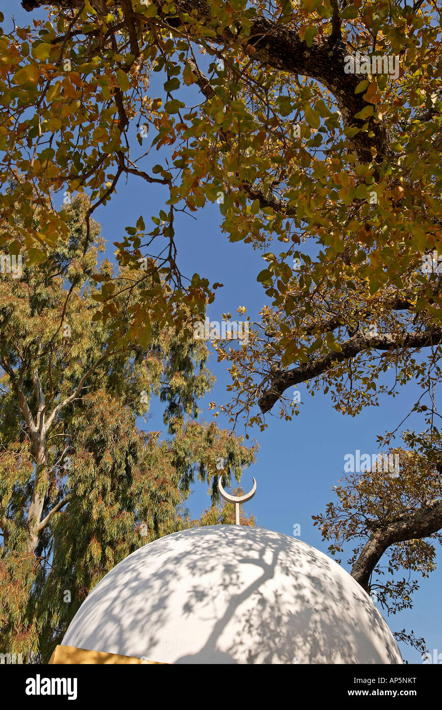 Le Mont Thabor Oak tree à Sheikh Ibrahim tombe dans les hauteurs du Golan de Banias Banque D'Images