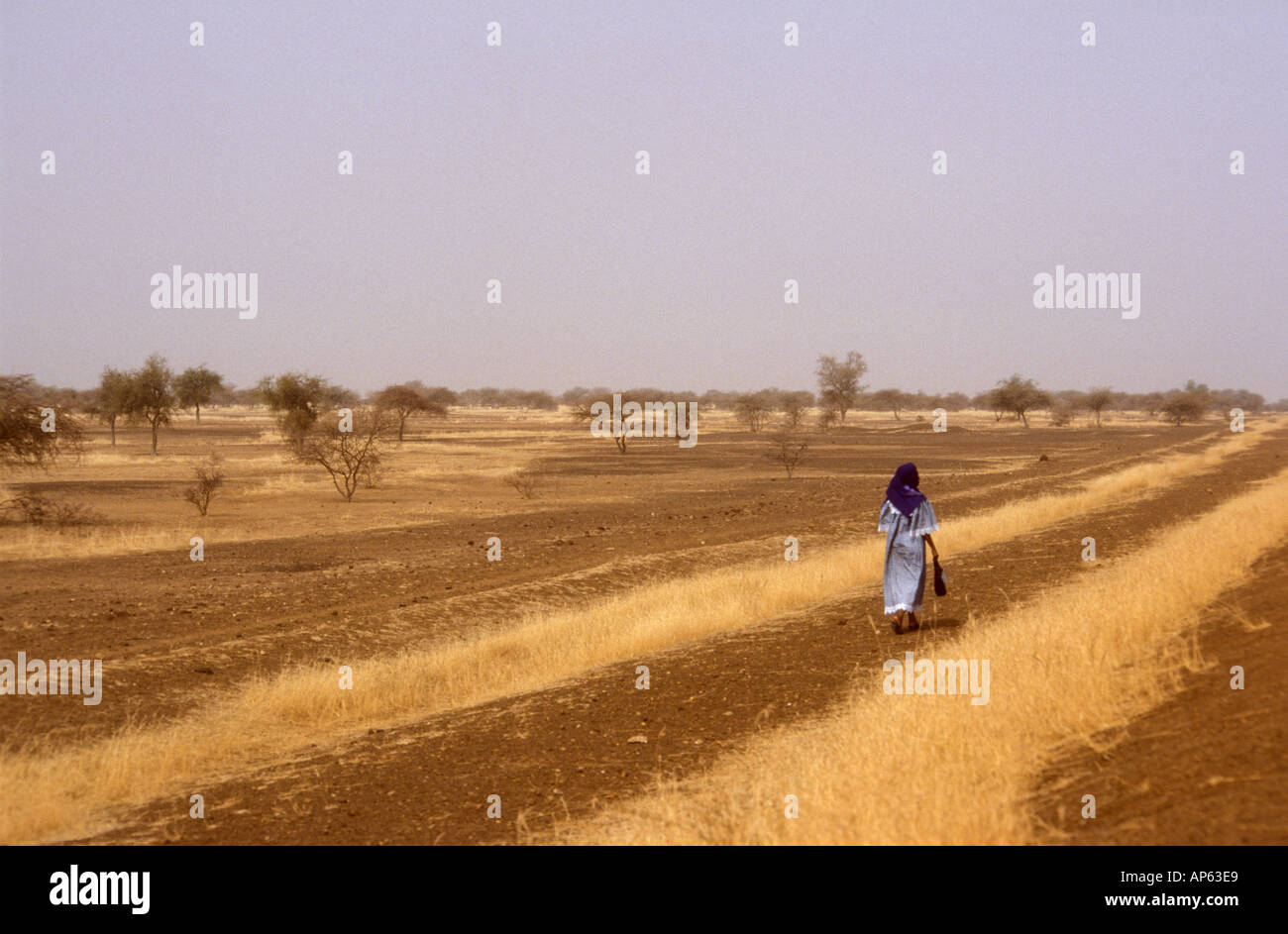 Femme peul marcher dans un endroit sec et sombre paysage désertique dans le Sahel Burkina Faso, Afrique de l'Ouest Banque D'Images