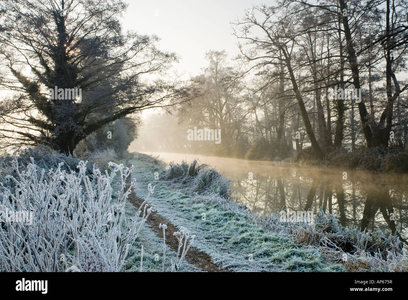 L'aube d'hiver glacial, la navigation de la rivière Wey, Envoyer, Surrey, UK Banque D'Images