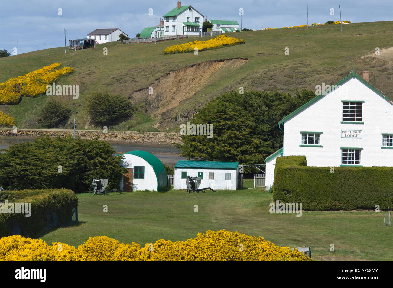Port Howard Lodge et de règlement avec l'ajonc (Ulex europaeus) en fleur Port Howard West Falkland Océan Atlantique Sud Décembre Banque D'Images