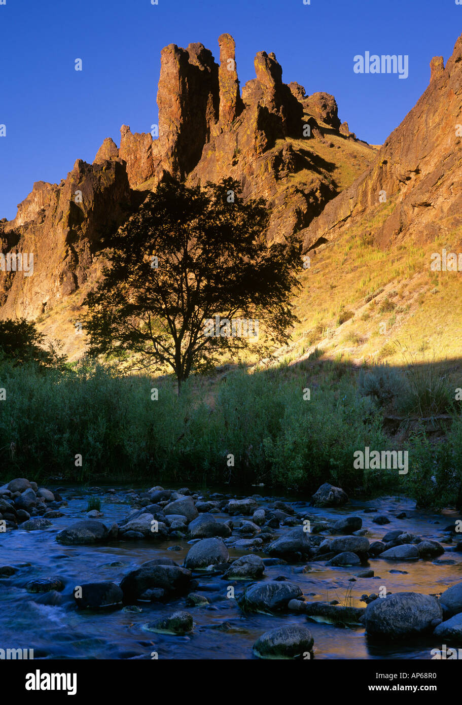 L'Est de l'Oregon, USA, Valley area, les falaises au-dessus d'un petit ruisseau dans Leslie Gulch Banque D'Images