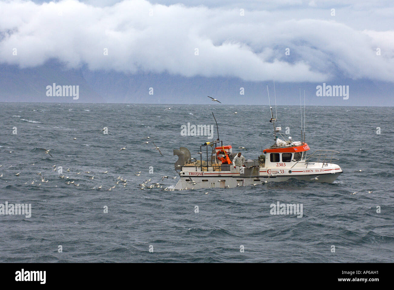 Icelandic longue ligne bateau de pêche au large de la côte nord de l'Islande Juillet 2006 Banque D'Images