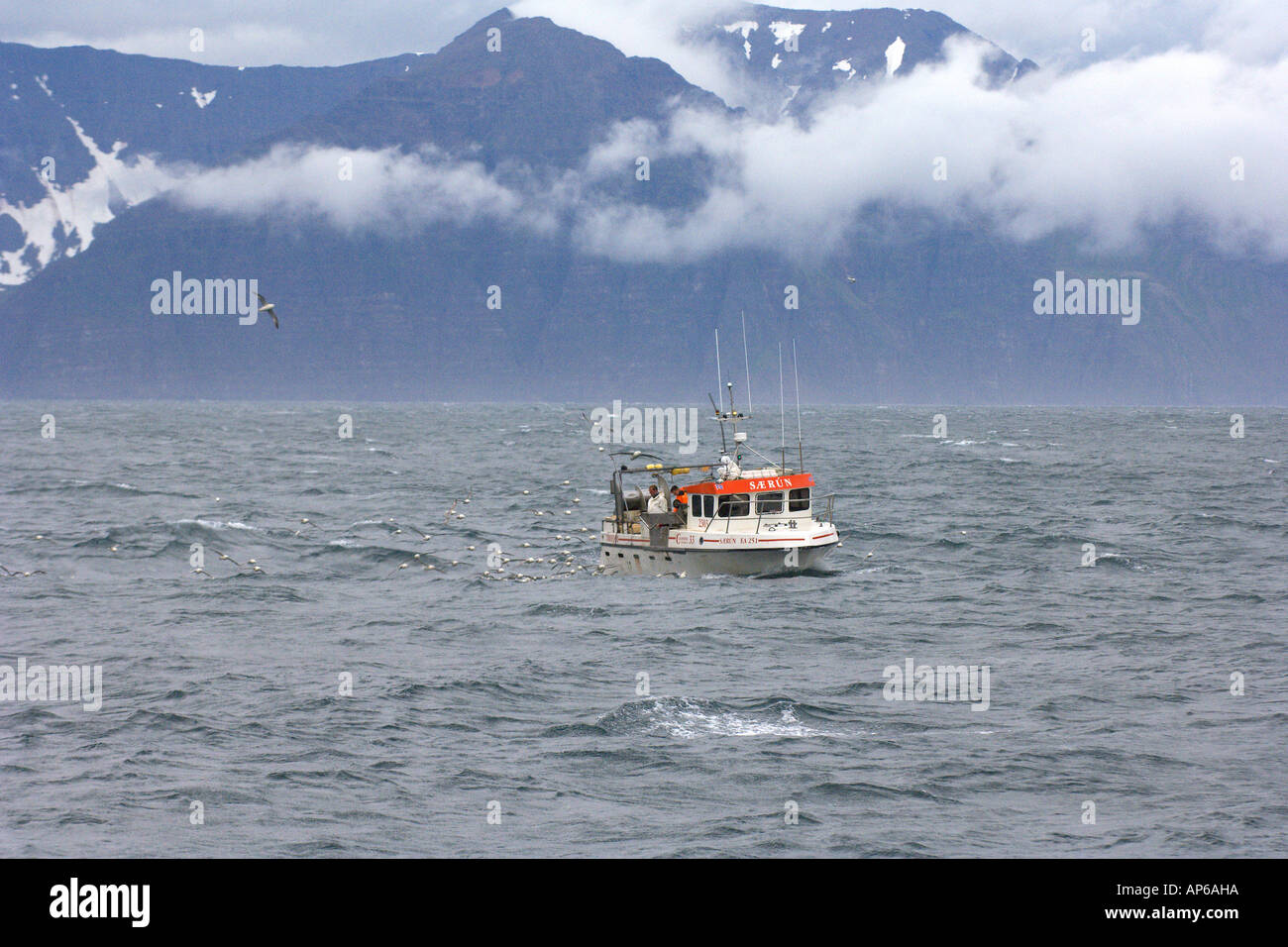 Icelandic longue ligne bateau de pêche au large de la côte nord de l'Islande Juillet 2006 Banque D'Images