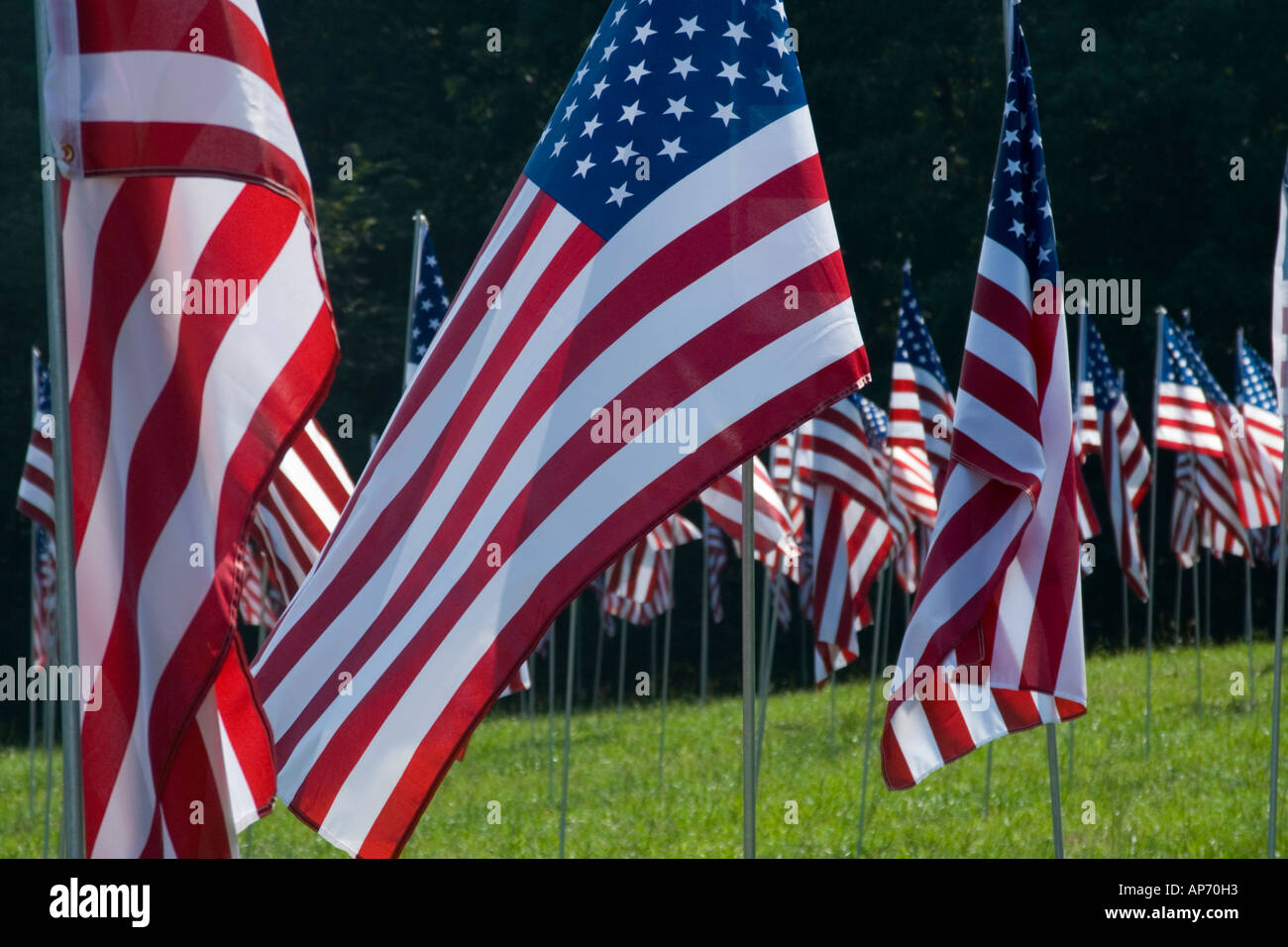 Drapeaux au vent en l'honneur du 911 2001 victimes de l'attaque terroriste contre les États-Unis. Situé à Kennesaw, Géorgie, USA Banque D'Images