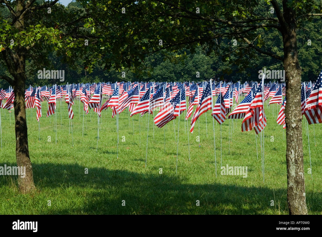 Drapeaux au vent en l'honneur du 911 2001 victimes de l'attaque terroriste contre les États-Unis. Situé à Kennesaw, Géorgie, USA Banque D'Images