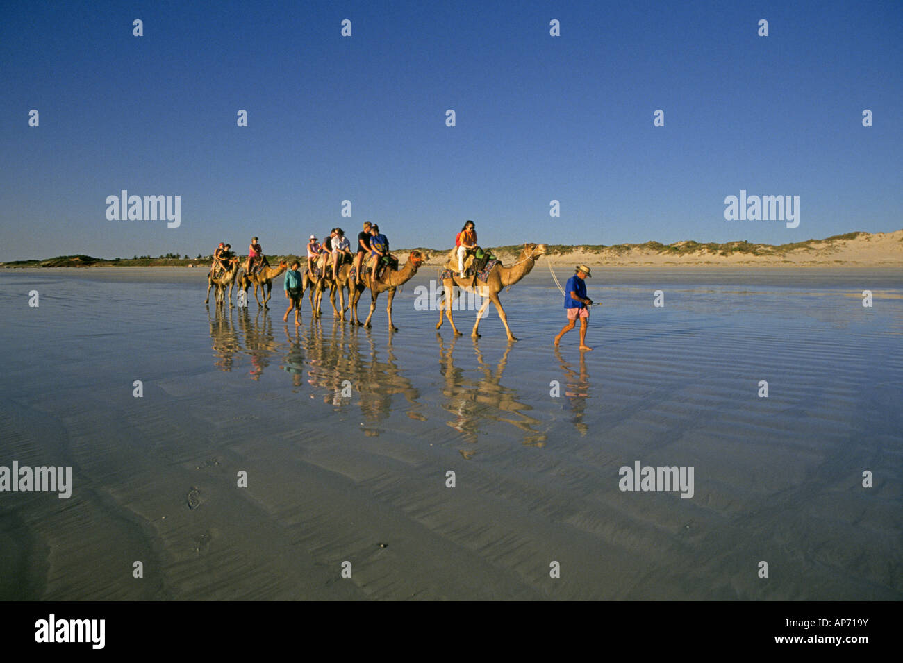 Les visiteurs prendre un chameau le long de la plage près de la ville de Broome Australie Occidentale Banque D'Images