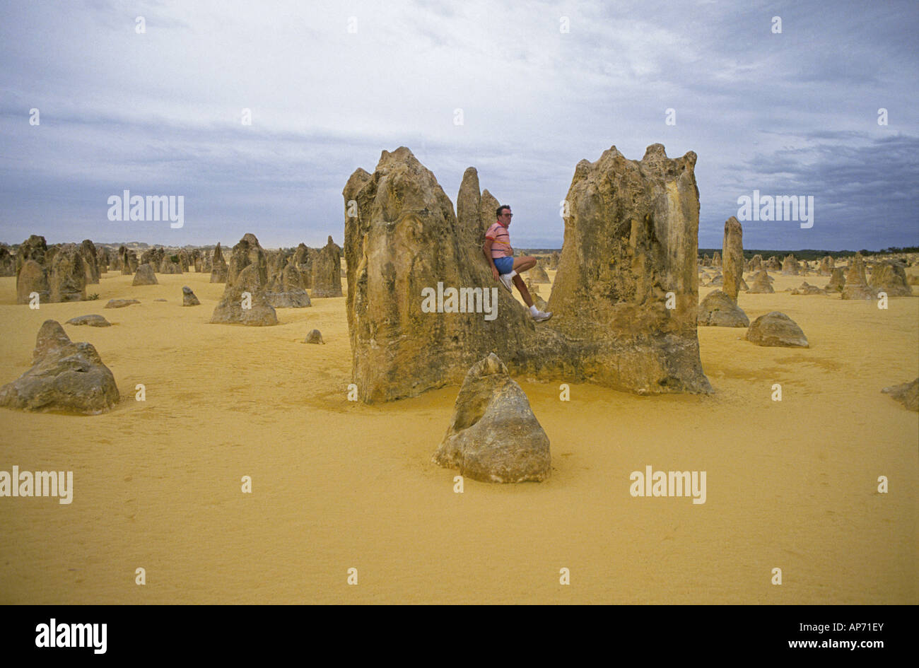 Le Désert des Pinnacles est contenu dans le Parc National de Nambung, près de la ville de l'ouest de l'Australie Cervantes Banque D'Images
