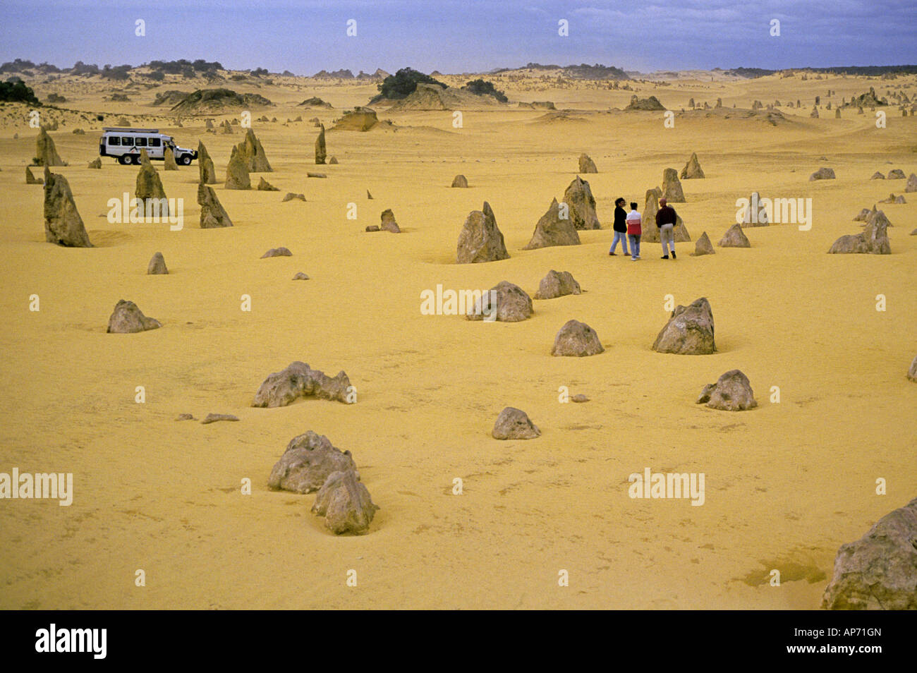 Un groupe de visiteurs dans le Désert des Pinnacles qui est contenu dans le Parc National de Nambung, près de la ville de Cervantes Banque D'Images