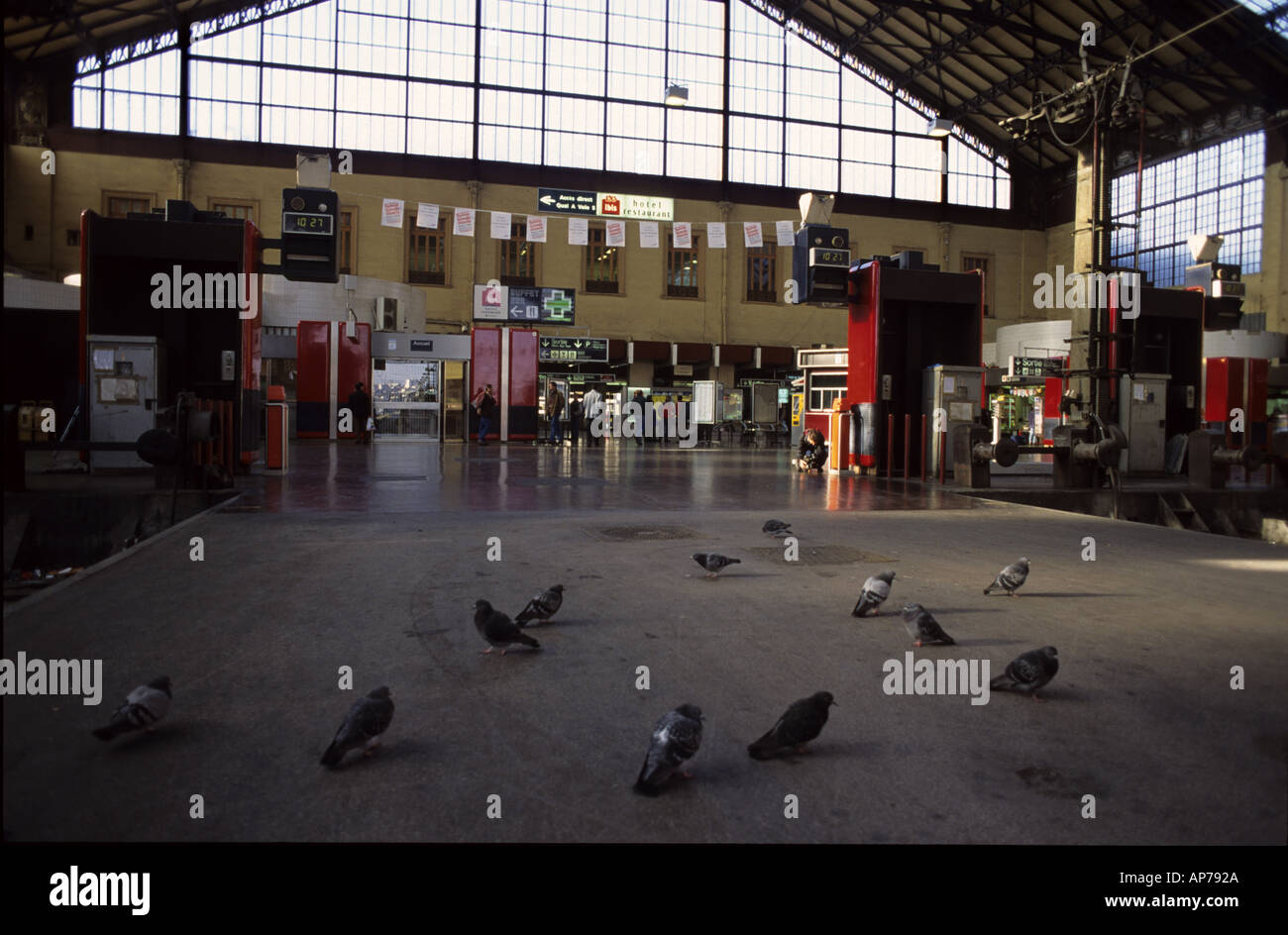 France Marseille Les pigeons en attendant le train sur le quai de la Gare Saint Charles sur une journée de grève en 1995 Banque D'Images