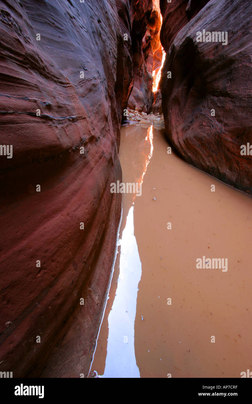 Passe fil Narrows, en Arizona Banque D'Images