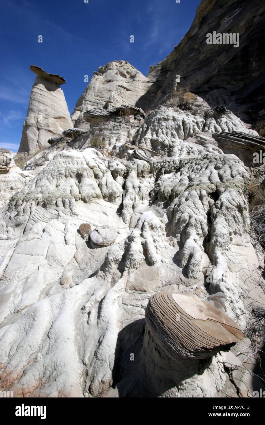 Les roches blanches, de l'Utah Banque D'Images