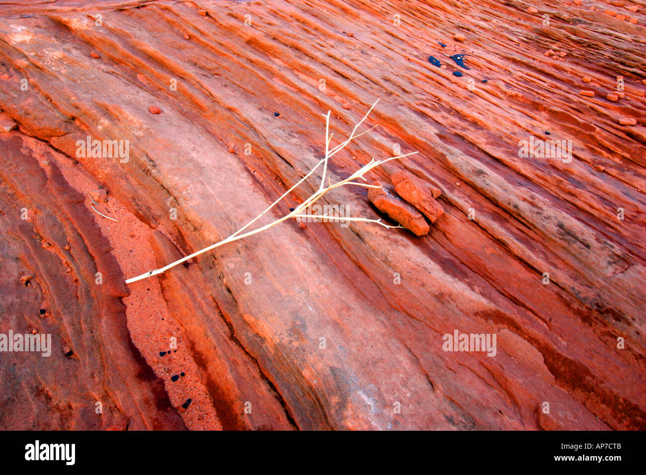 Près de page, arizona en grès Banque D'Images