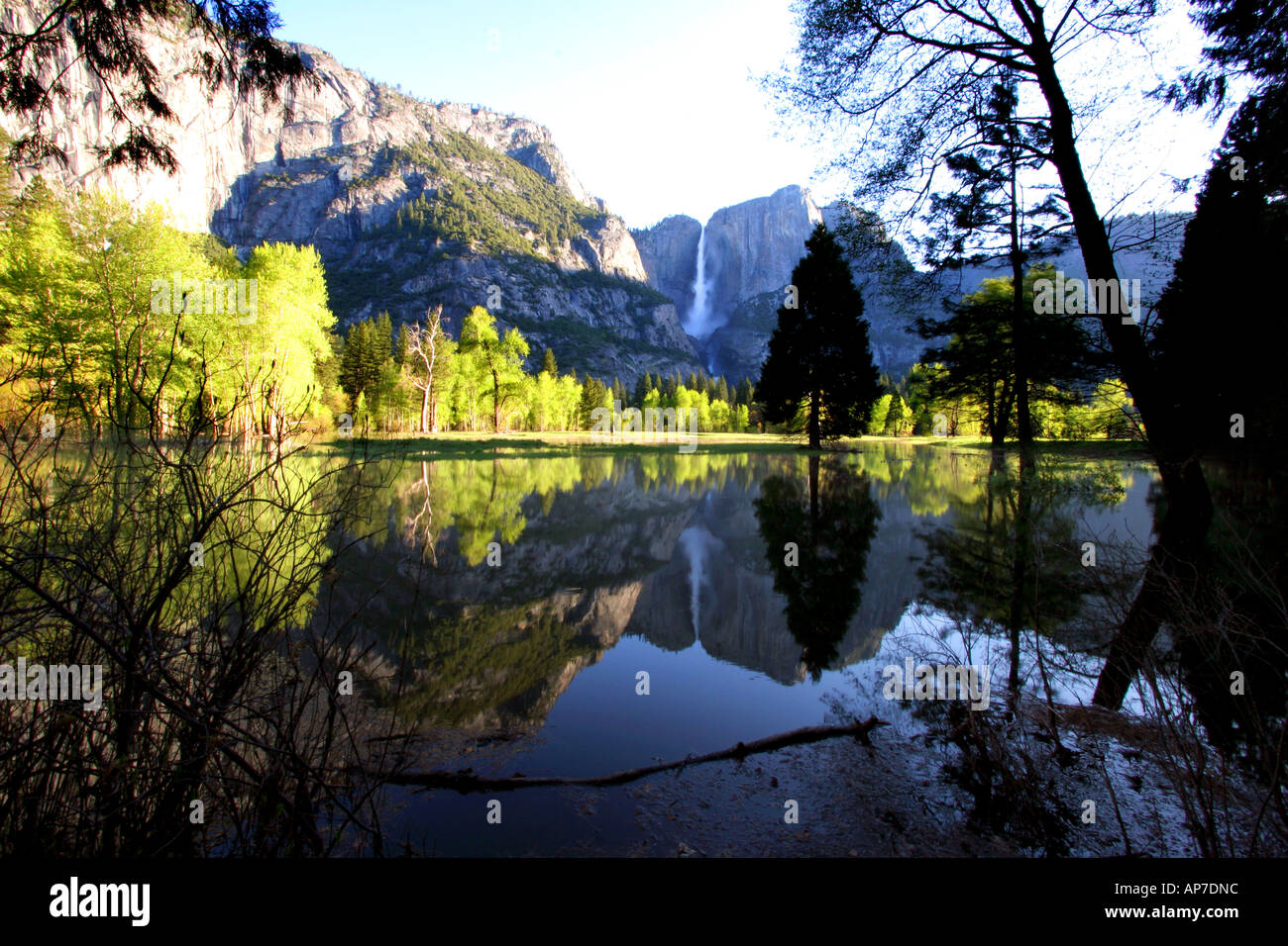 Yosemite falls réflexion, Yosemite National Park Banque D'Images