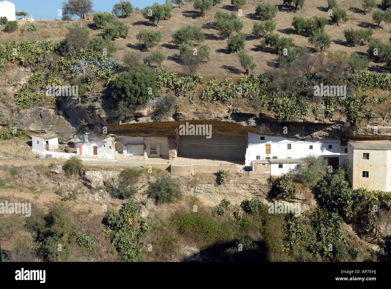 Les maisons construites dans la roche Setenil de las Bodegas Andalousie