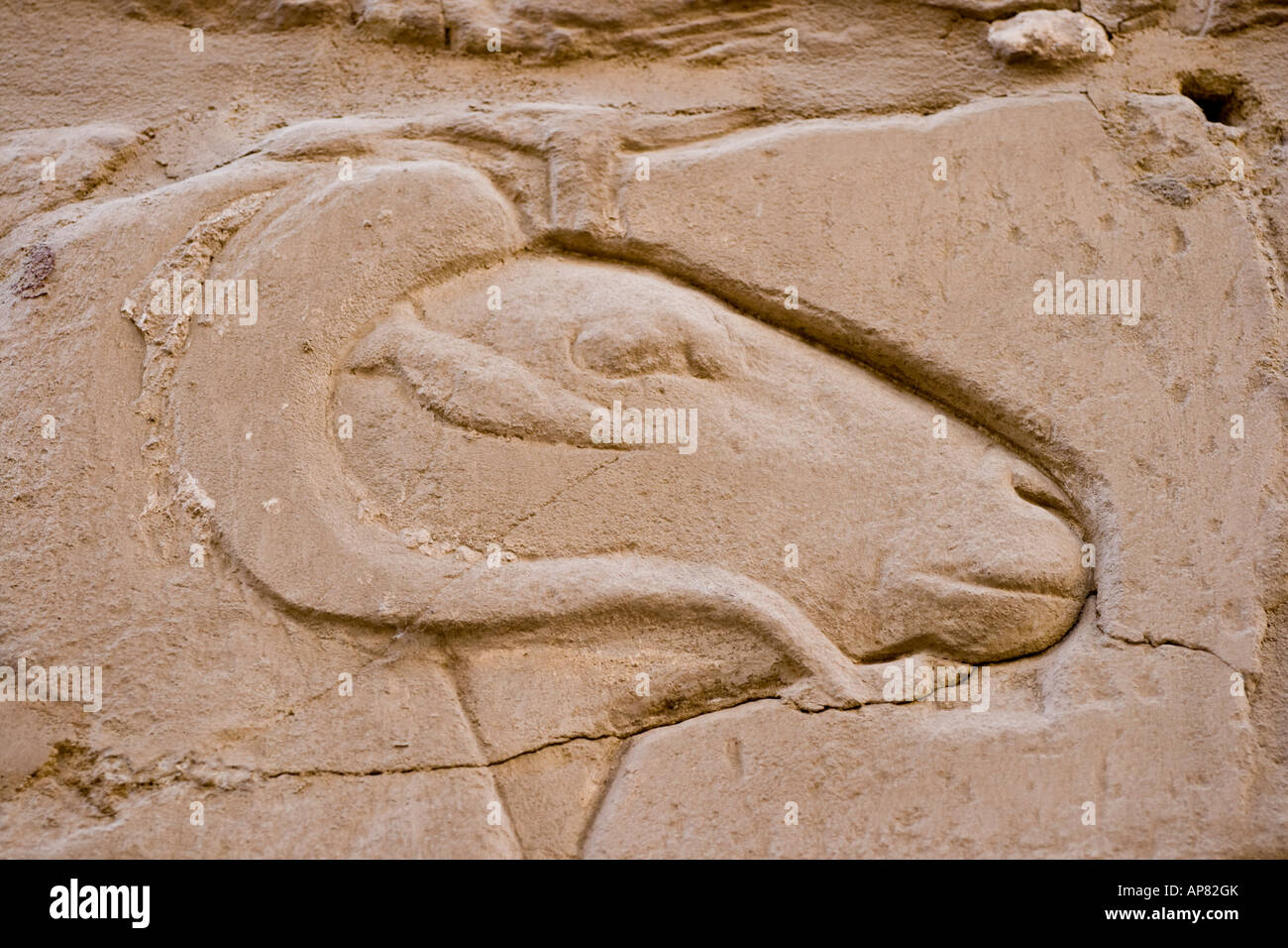 La tête de vérin dans la salle hypostyle du temple de Karnak Louxor Vallée du Nil Egypte Banque D'Images