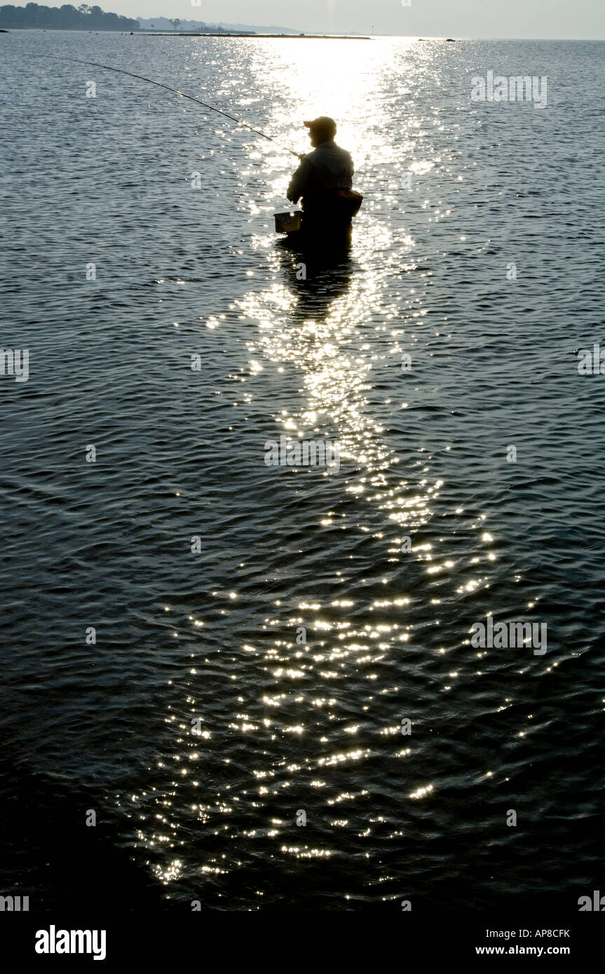 Silhouette de pêcheur solitaire de patauger dans l'eau à la plage de Compo, Westport, Connecticut, au lever du soleil. Banque D'Images