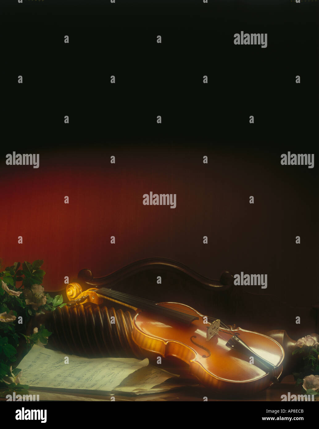 Close-up of Violin and sheet music Banque D'Images