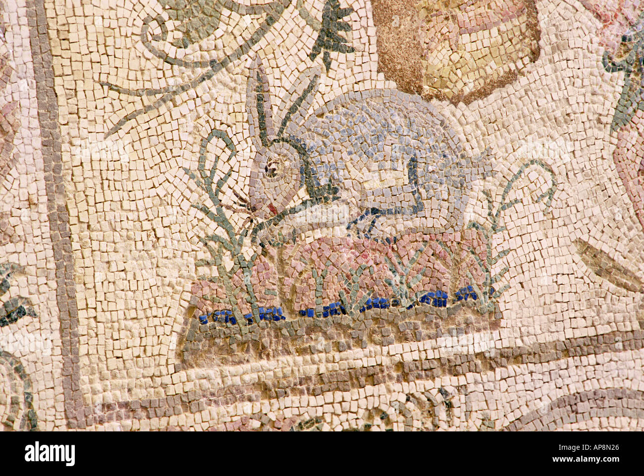 Mosaïque de lapin dans le 2e 4e siècle une villa romaine D de Dionysos à Paphos Chypre Banque D'Images