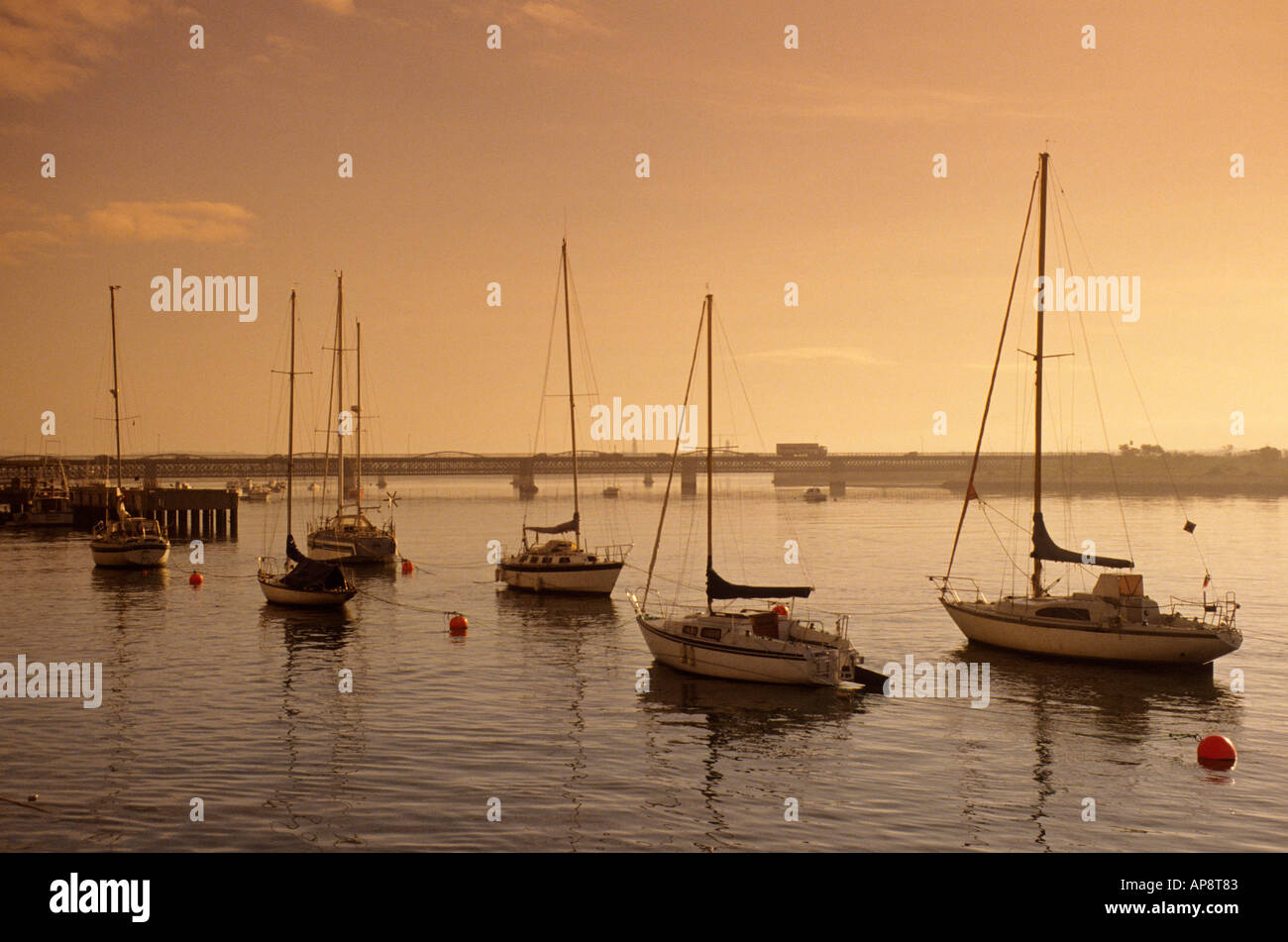 Bateaux disponibles dans le port au coucher du soleil Vilamoura Algarve Portugal Europe Banque D'Images