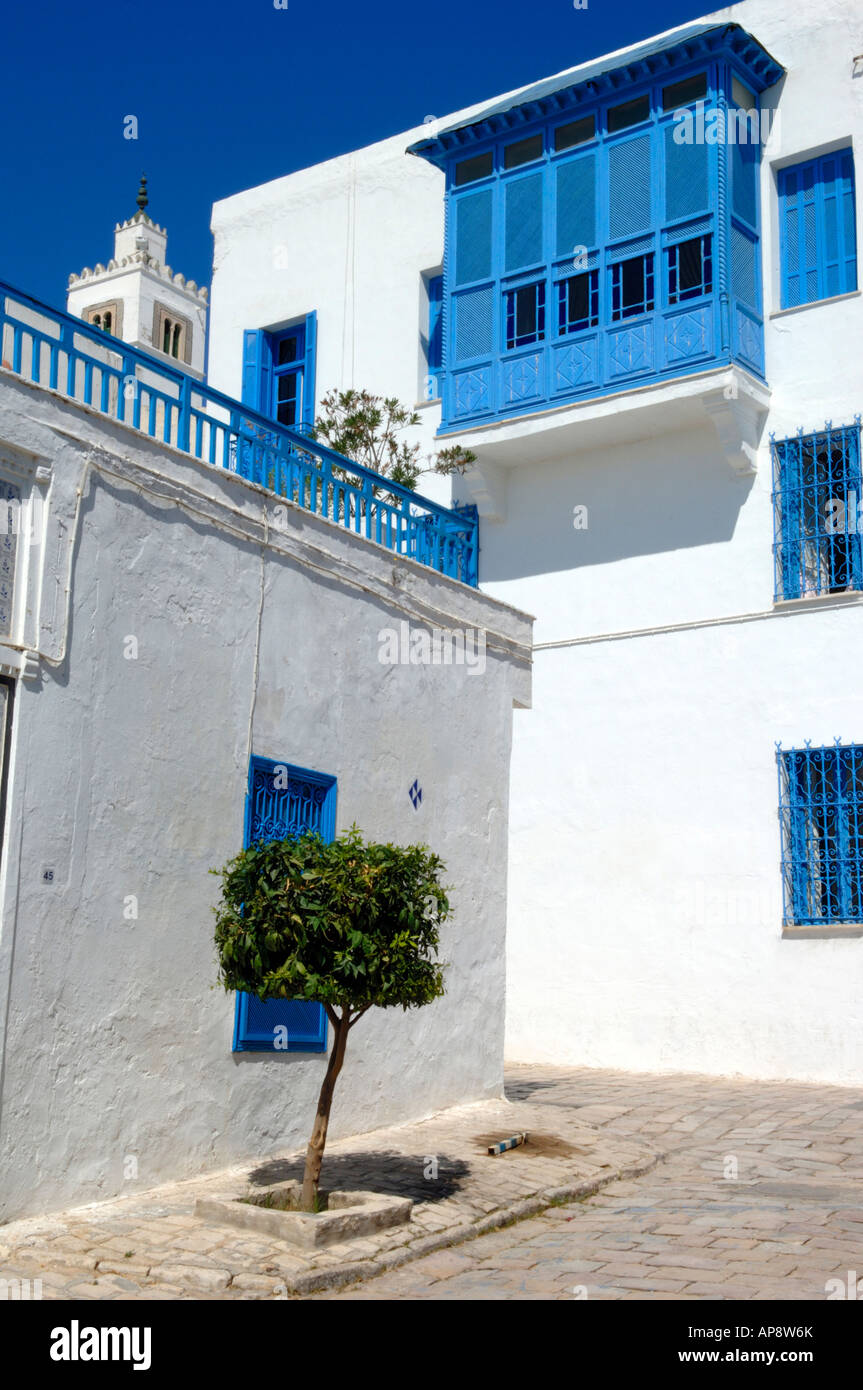 Les bâtiments traditionnels blanchis à la chaux avec des grillades dans la fenêtre bleu Sidi Bou Said village Banque D'Images