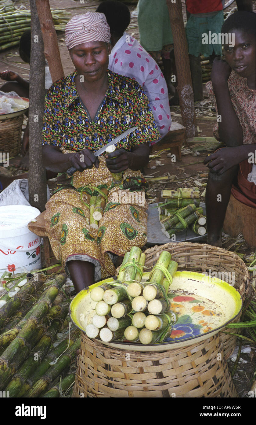 Femme africaine noire préparation de la canne à sucre pour la vente au marché de jonction Ada Ghana Afrique de l'Ouest Banque D'Images