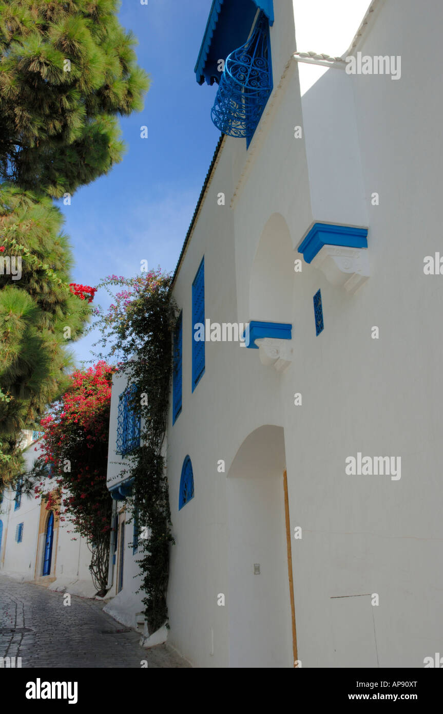 Une rue pavée, de maisons blanchies à la chaux à Sidi Bou Said Banque D'Images