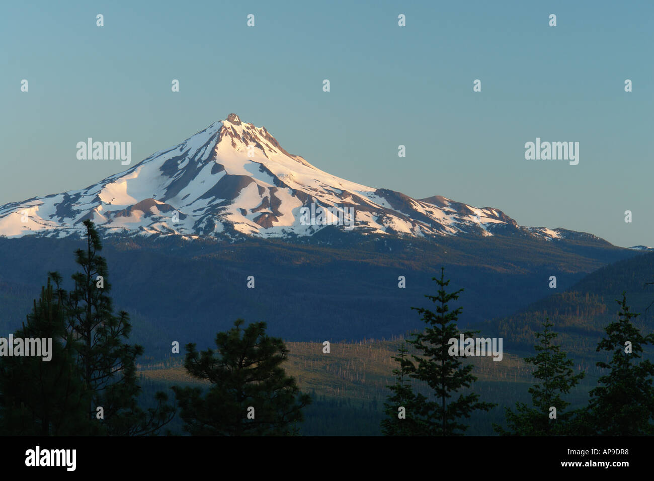 AJD50998, Mt. Jefferson, ou, de l'Oregon, la Forêt Nationale de Deschutes, Cascades Banque D'Images