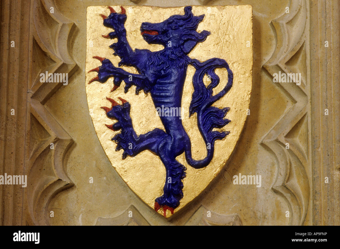 Armoiries lion rampant bleu bouclier d'or de la cathédrale de Lincoln Lincolnshire Angleterre IK périphérique histoire médiévale héraldique héraldique Banque D'Images