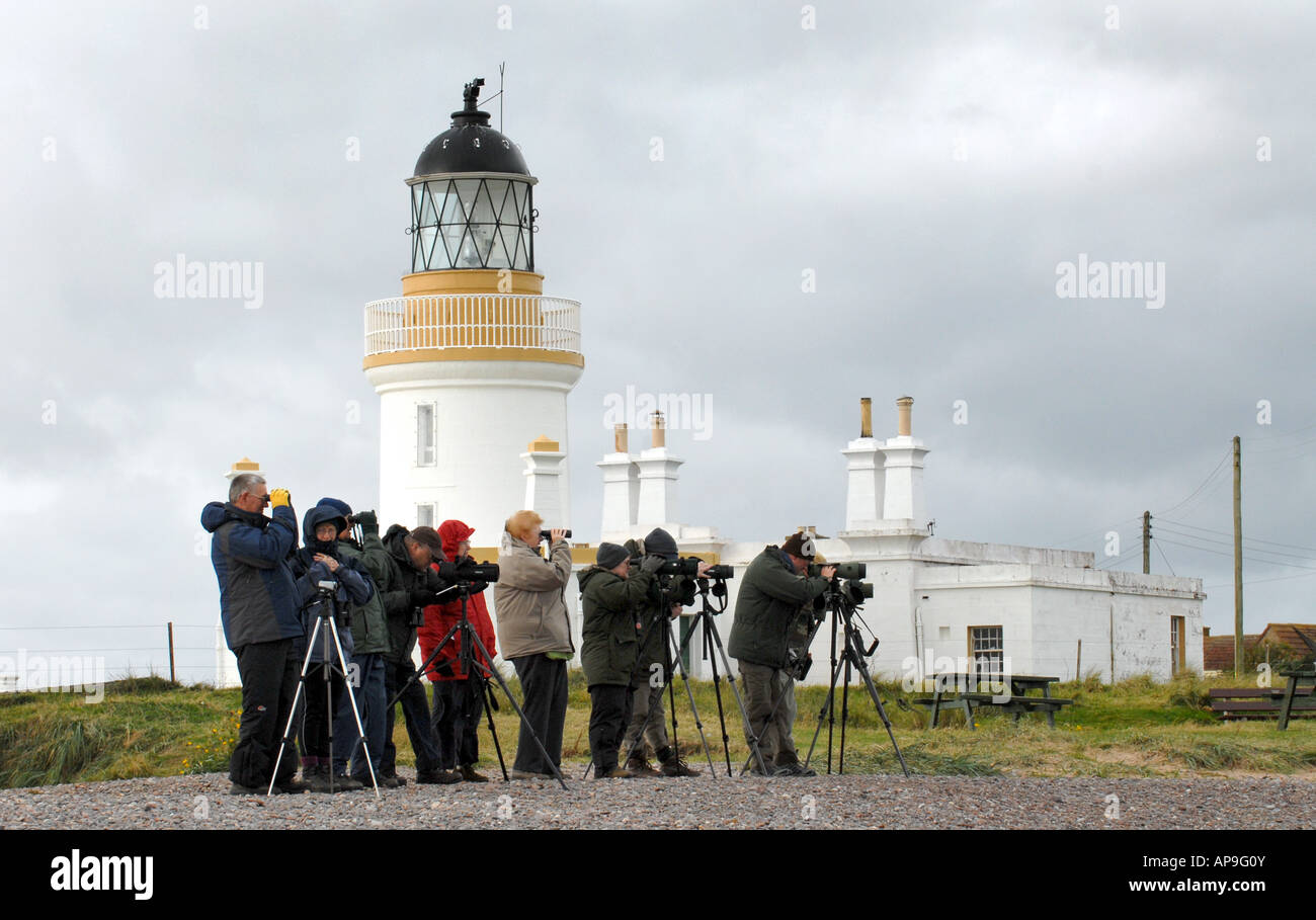 Les observateurs ET LES PHOTOGRAPHES DOLPHIN À CHANONRY POINT, PRÈS DE ROSEMARKIE DANS LE Moray Firth, nord-est de l'Écosse, Royaume-Uni. Banque D'Images