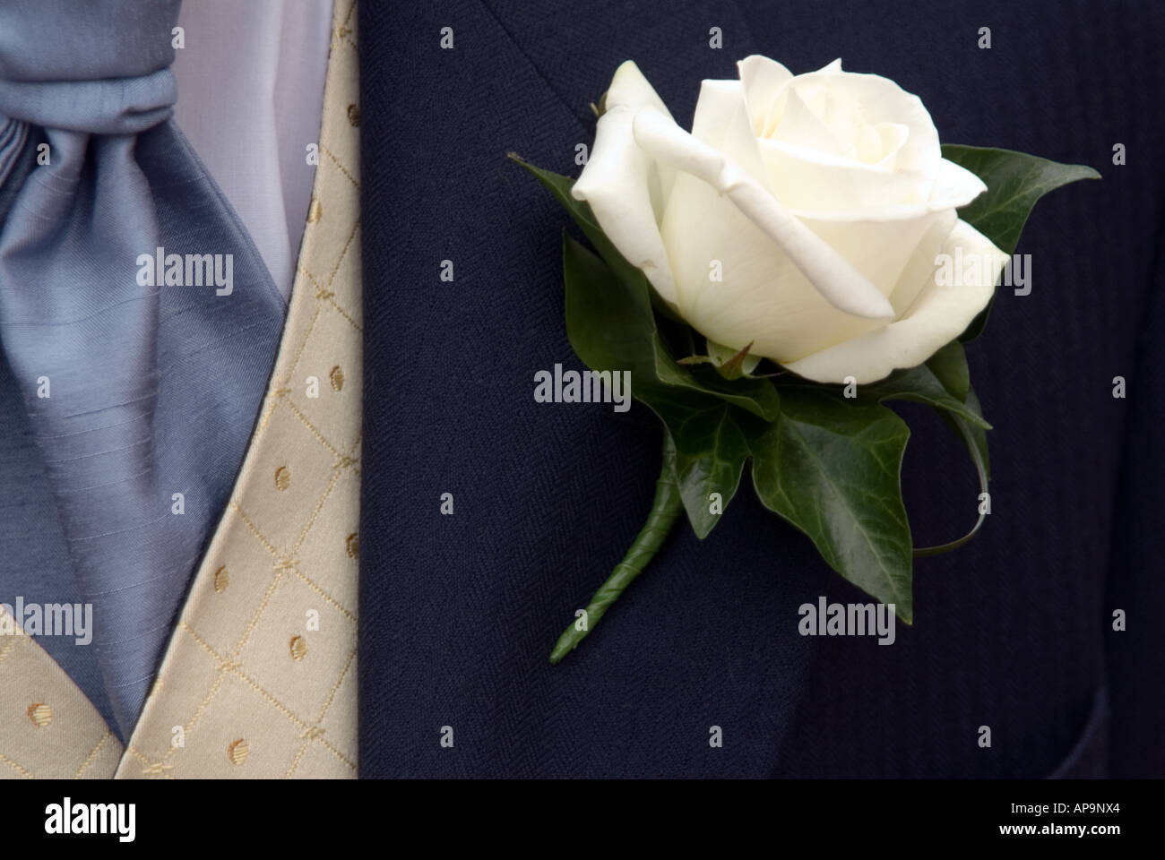 Le costume du marié à un mariage avec white rose fleur en bouton veste Banque D'Images
